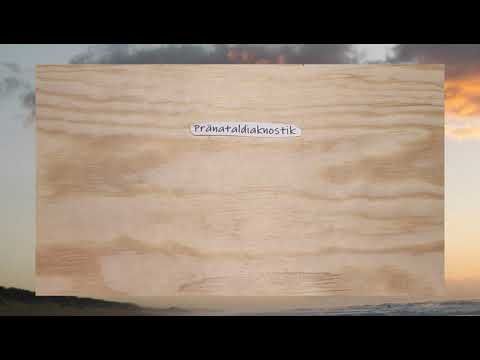 Pränataldiagnostik kurz erklärt