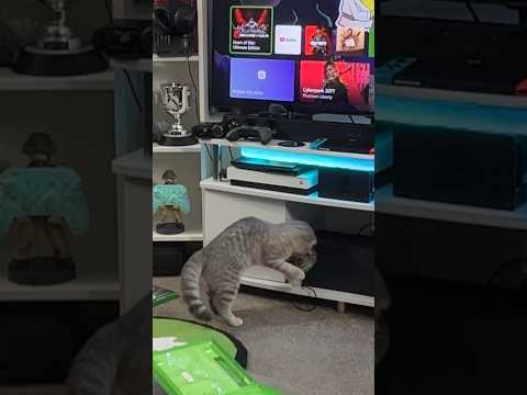 Video cover