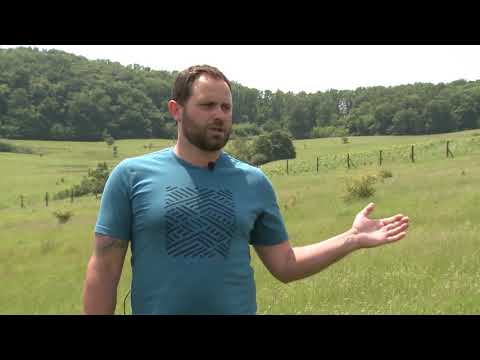 Bio Farm Recea Cristur - coacaz si zmeur - Povestea lui Alex si Ana