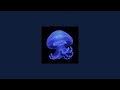 Champagne Coast Blood Orange Instrumental Part 1 Hour Loop