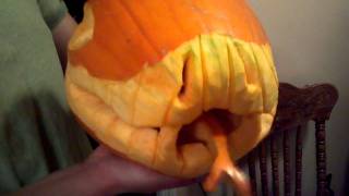 My Brother Nick Is Making A Snake Pumpkin