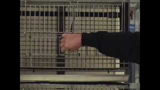 Training on Poultry Housing for Commercial Poultry and Poultry Science