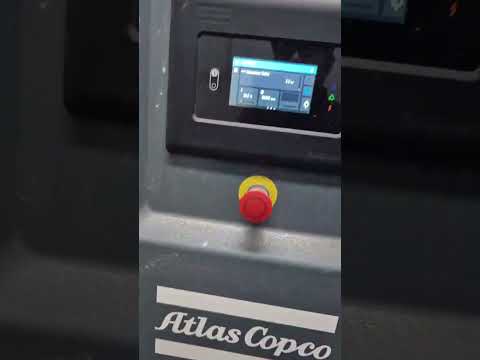 SLICED & DICED MEAT Meat Processing Equipment | Perry Equipment (1)