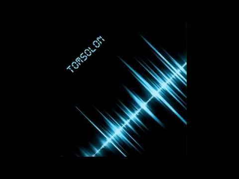 Yves Larock - Zookey 2k14 (tomsolon remix)