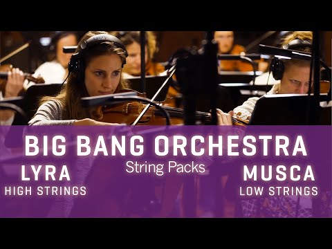 BBO: Lyra & Musca, High & Low Strings - Introduction