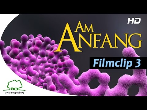 AM ANFANG - Filmclip 3 - "Natürliche Selektion" - deutsch