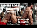 proper rope triceps push-down