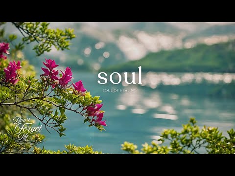 Soul of Healing🌿🩷 Relaxing Guitar Music for Sleep, Study & Meditation