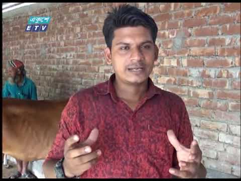 কোরবানীর পশুর বাজারজাত এবং ভালো দাম পাওয়া নিয়ে চিন্তায় রয়েছে জেলার খামারীরা