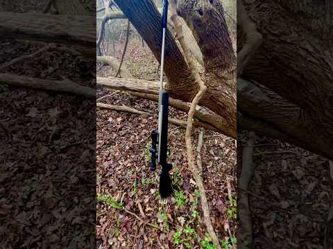 BEST Predator Control Gun --Beeman Air Rifle