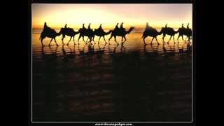 lifescapes- moon pulses (the rhythm of inner balance)