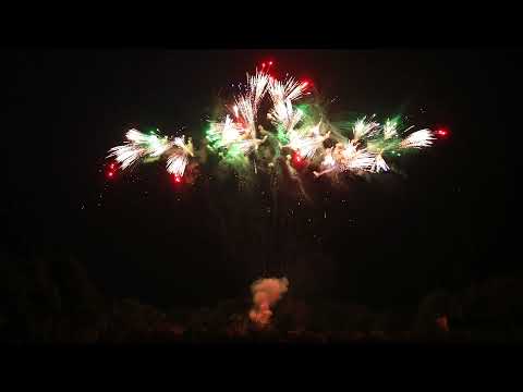 LOW NOISE - MULTI HORSETAIL EFFECT #EpicFireworks
