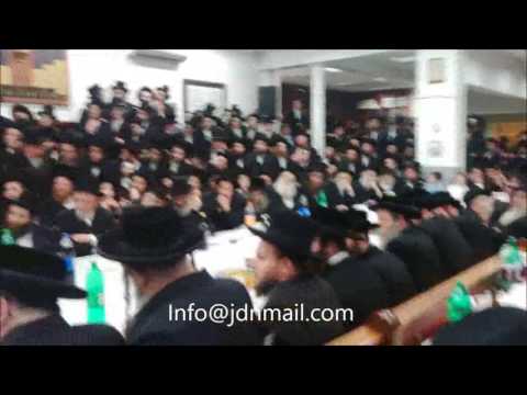 Lag Baomer 5776 With R' Leibish Of Pshevorsk In Antwerp