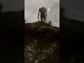 Attack On Titan Historical Footage Capcut Edit Anime Animeedit Aot Attackontitan Historical