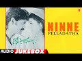Ninne Pelladatha Audio Jukebox Nagarjuna Tabu Sandeep Chawtha Telugu Tunes Time Capsule