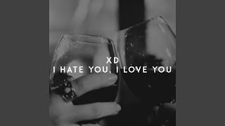 I Hate You, I Love You Music Video