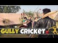 GULLY CRICKET Round2hell R2H