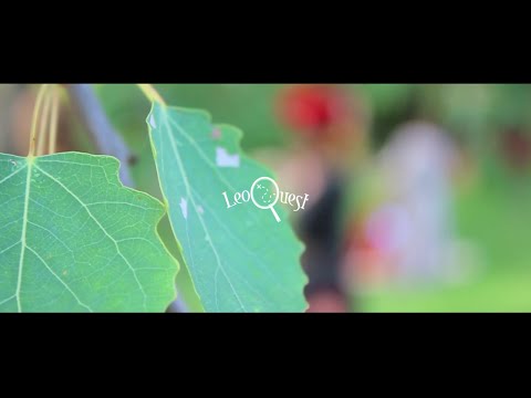 Perfectial - Kvest @ Game of Thrones