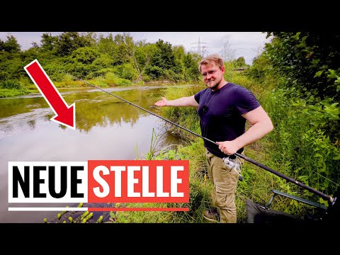 Was geht hier am SOMMER HOTSPOT 🌞🤔? GREWALD unterwegs an neuer Angelstelle