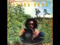Peter Tosh Legalize It @riddimstream 