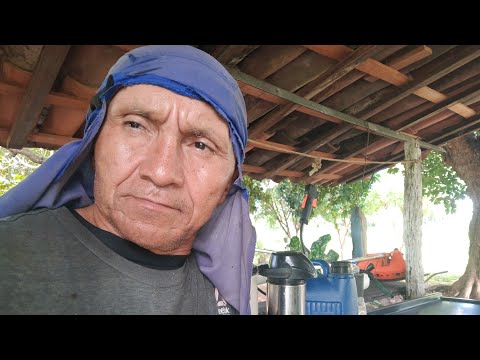 Bal gravações Cuité de Mamanguape está ao vivo!