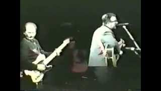 Elvis Costello 1987 - The Only Daddy That&#39;ll Walk The Line / Poisoned Rose