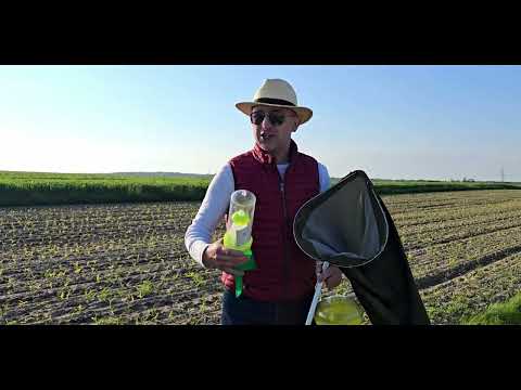 Do udziału w V Warmińsko-Mazurskich Dniach Pola zaprasza dr hab. Paweł Bereś - IOR PIB w Poznaniu