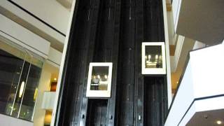 Elevator race down a 29 story atrium at the Hyatt Regency Houston