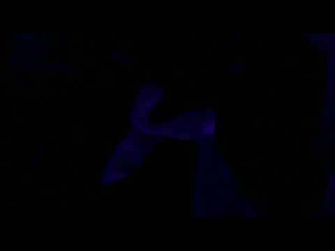 have fun with the homies ...