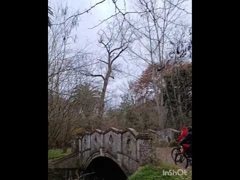 ¡Descubrimos un Puente Medieval Oculto en el Parque Pereyra! 😱🚴‍♂️