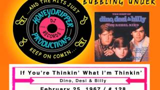 Dino, Desi & Billy - If You're Thinkin' What I'm Thinkin' - 1967
