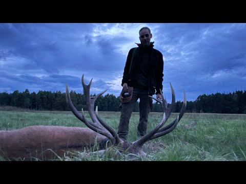 Kapitaler 16 Ender auf der Brunftwiese erlegt