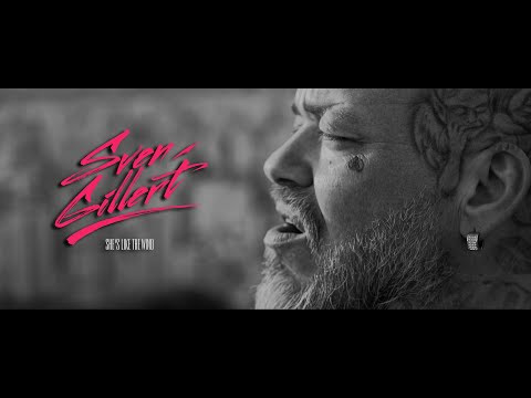 Sven Gillert - She's like the wind (Cover)
