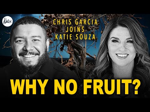 Warum du keine Früchte trägst (Die Lüge, der du geglaubt hast) // Chris Garcia im Gespräch mit Ka...