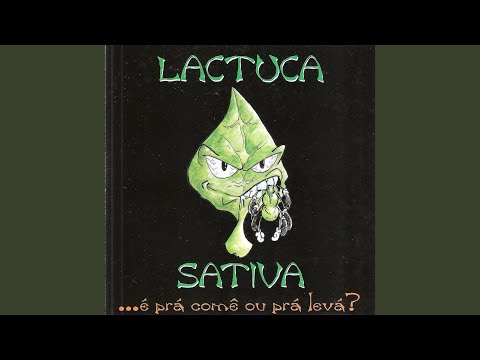 Não Me Deixe Aqui - Lactuca Sativa