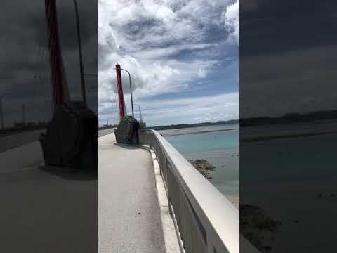 沖縄移住について紹介します イメージ1