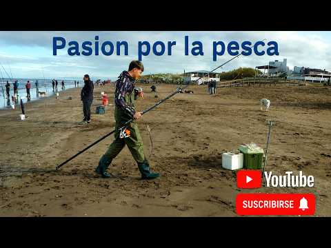 PICADITOS DE PEJERREYES DE MAR EN MONTE HERMOSO--PASION POR LA PESCA