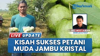 Inspiratif! Petani Muda di Musi Rawas Sukses Budidaya Jambu Kristal, Sudah Punya Lima Kebun