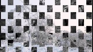 Agalloch- Birch White