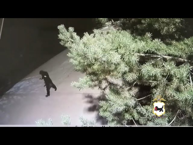 В Ангарске задержан ранее судимый мужчина по подозрению в серии краж