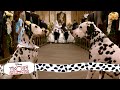 Wedding Bells 5 15 Movie Scenes 101 Dalmatians 1996 HD