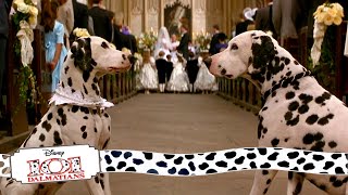 Wedding Bells  (5/15) Movie Scenes  101 Dalmatians