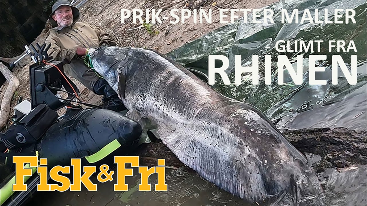 NY VIDEO: PRIK-SPIN EFTER MALLER – GLIMT FRA RHINEN