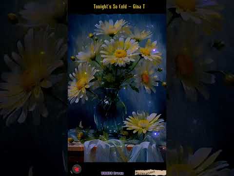 Tonight's So Cold - Gina T