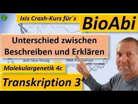 Transkription Biologie - Teilschritt der Proteinbiosynthese - Unterschied Beschreiben und Erklären