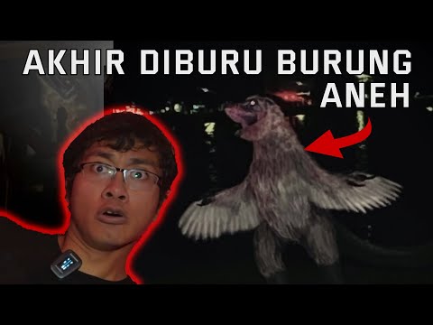 End of Story: Hunted by Strange Birds!