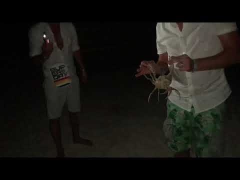 Drunken holiday crab hunting Pullman cayo coco