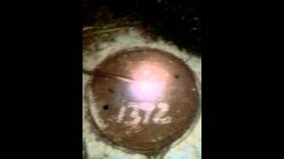 Baby roach sings funky towel