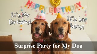 Surprsing My Dog For Her Birthday 🎂 | A Cozy Celebration, Trail Walk & Homemade Dinner 🐾