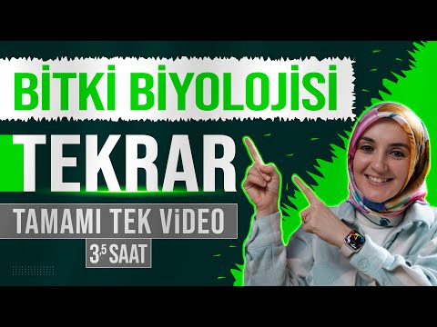 13) Bitki Biyolojisi FULL TEKRAR | 12. Sınıf Biyoloji | AYT Biyoloji Konu Anlatımı 13